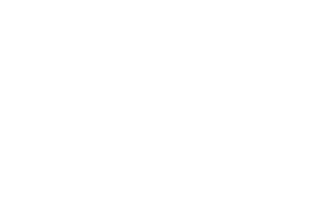 Logo_110009_360_Team_VER_W_MO (2)